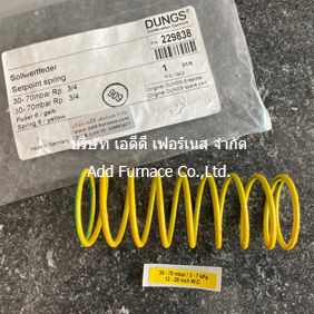 Dungs Setpoint Spring 30-70mbar Rp3/4